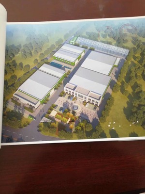 化肥 现代农业的双刃剑